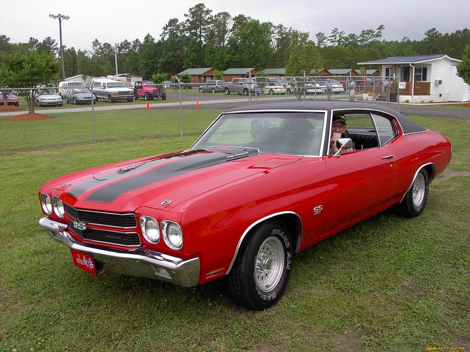 1970, chevrolet, chevelle, ss, classic, , , , 